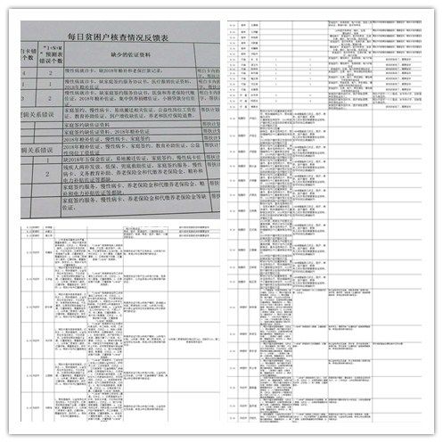 防胡鎮(zhèn)精準(zhǔn)發(fā)力，專班提升扶貧檔卡質(zhì)量與信息收集成效